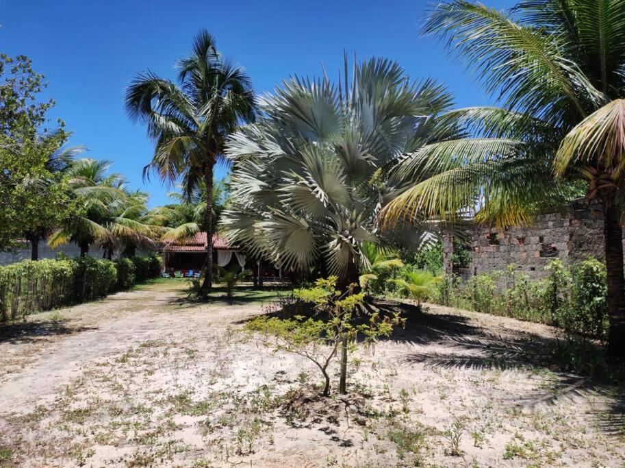 Casa Cumuruxatiba, Natureza E Charme Exterior photo
